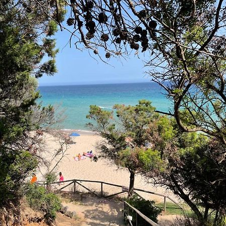 הוילה פולה Sun Sea Of Sardinia מראה חיצוני תמונה